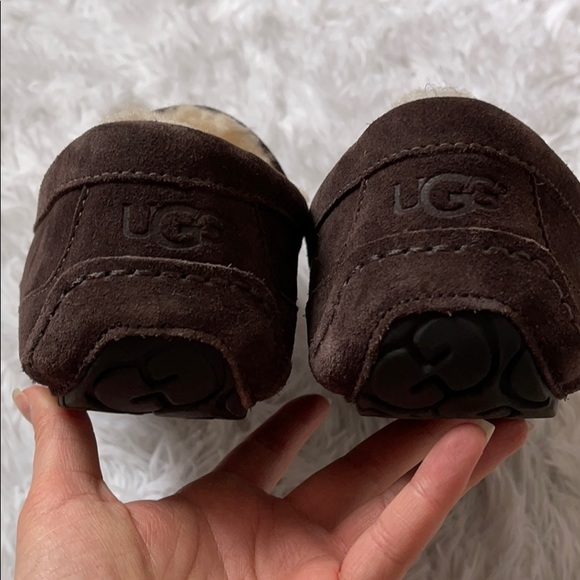 Ugg Ascot Slipper - Picture 4 of 10